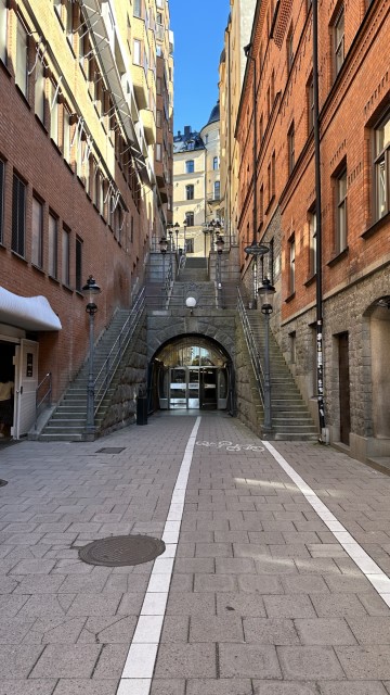 IMG 0271
