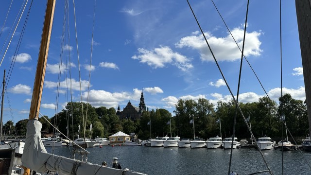 IMG 0313