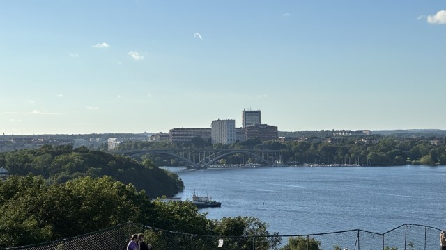 IMG 0390