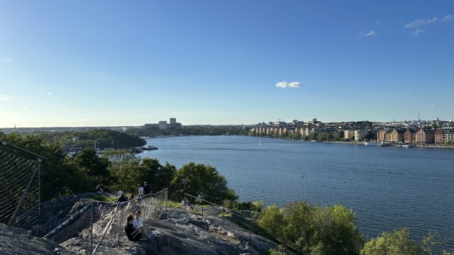 IMG 0393
