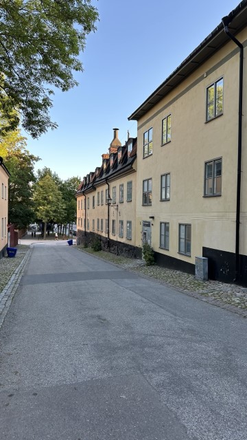 IMG 0416