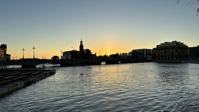 IMG 0452