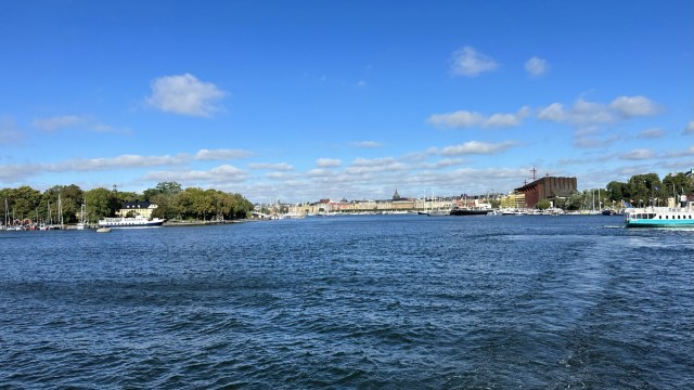 IMG 0533