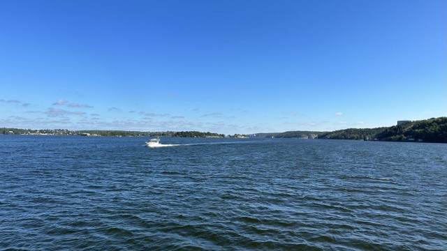IMG 0573