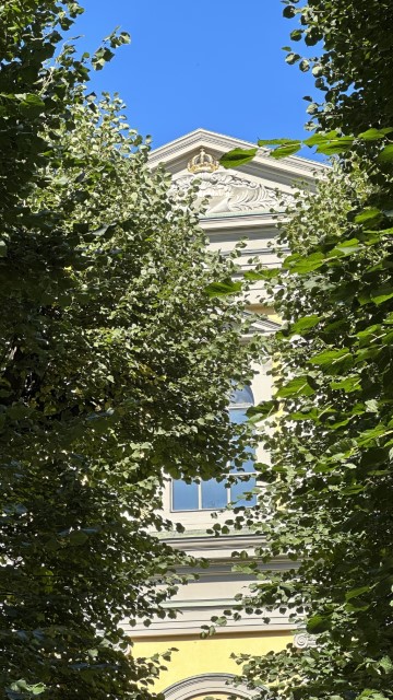 IMG 0632