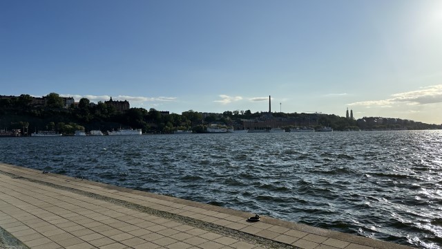 IMG 0756