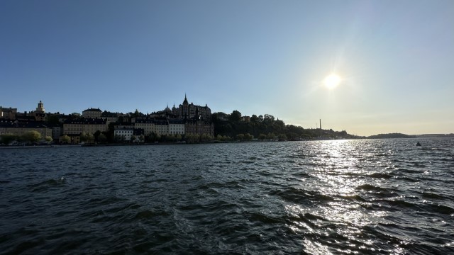 IMG 0768