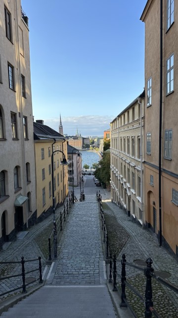 IMG 0783