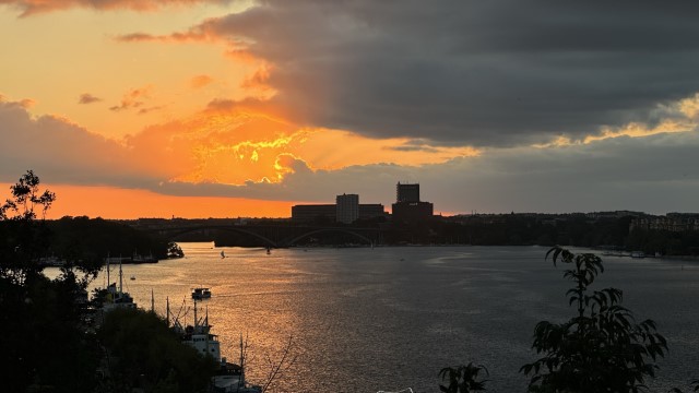 IMG 0846