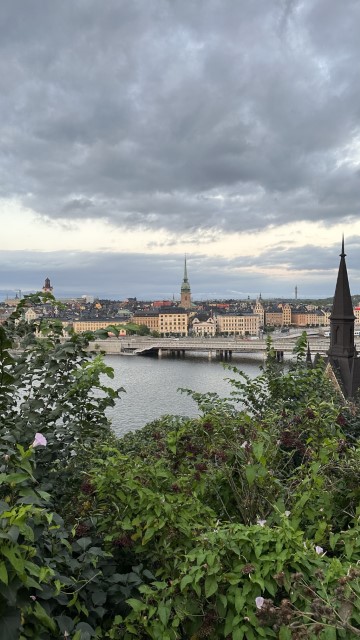 IMG 0864