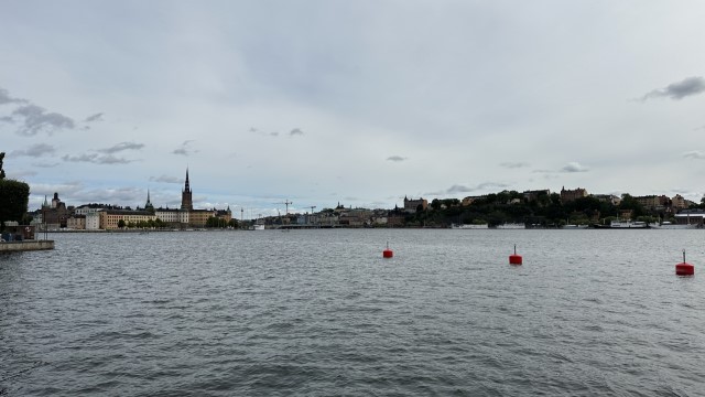 IMG 9917