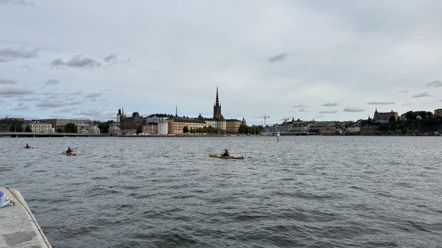 IMG 9938