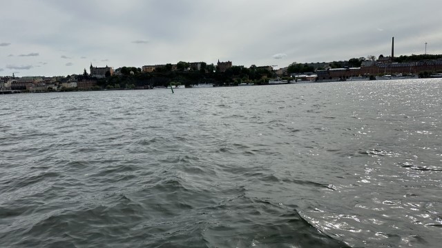 IMG 9951