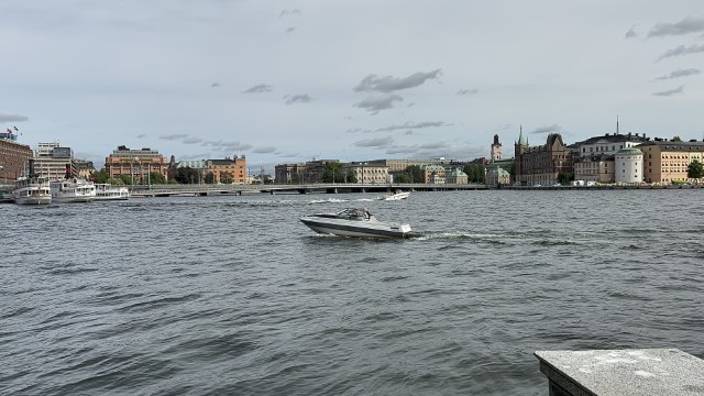 IMG 9956