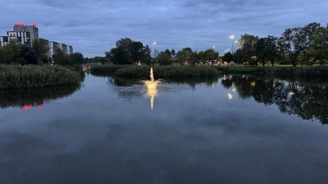 IMG 0395
