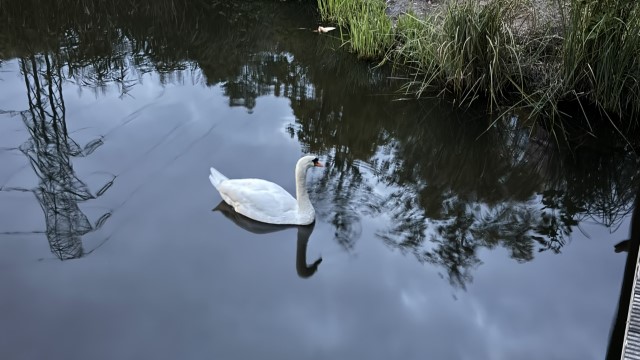 IMG 0402