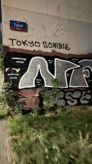 IMG 0455