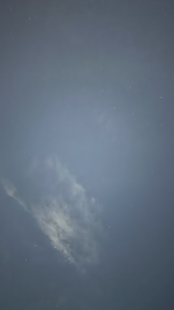IMG 0475