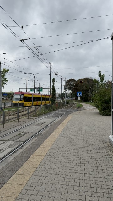 IMG 0767