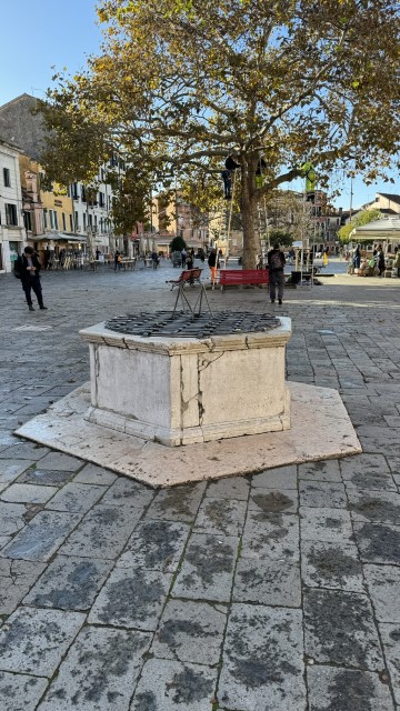 IMG 1549