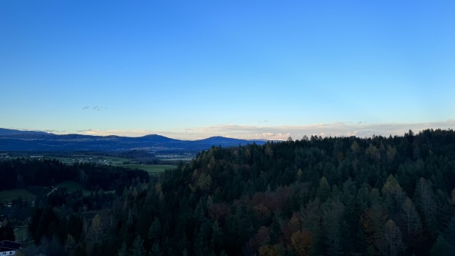IMG 4871