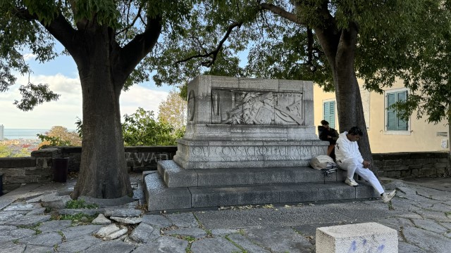IMG 2555
