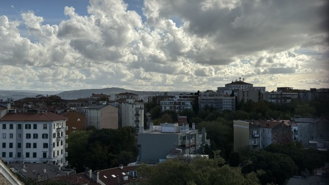 IMG 2616