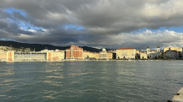 IMG 2736