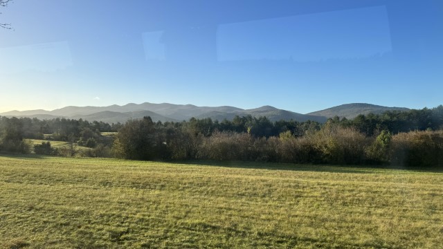 IMG 3203