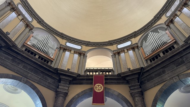 IMG 3260