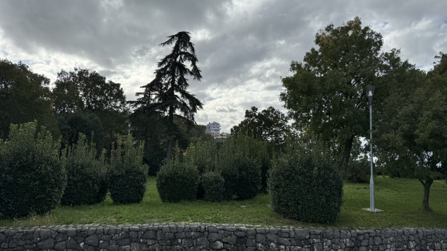 IMG 3325