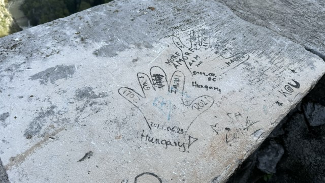 IMG 3364