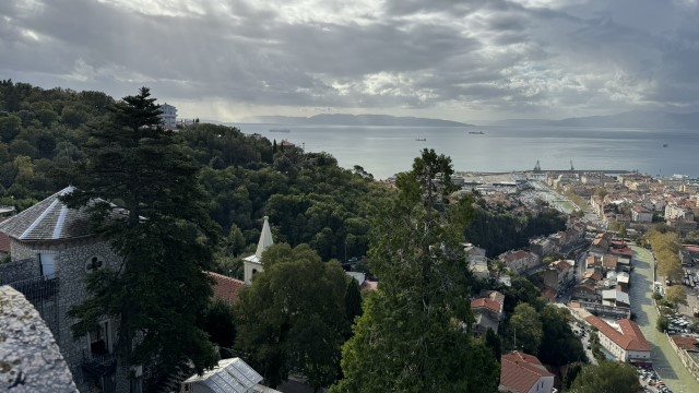 IMG 3380