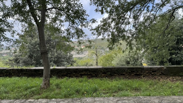 IMG 3448