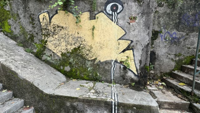 IMG 3475
