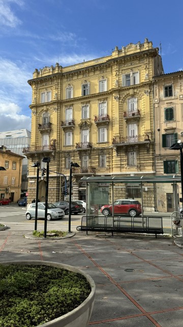 IMG 3484