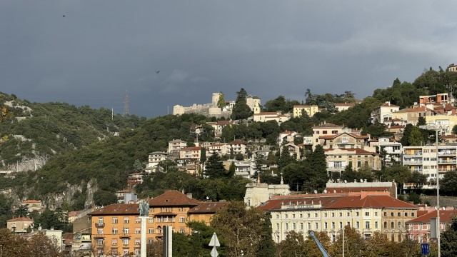 IMG 3501