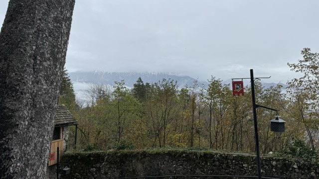 IMG 4377