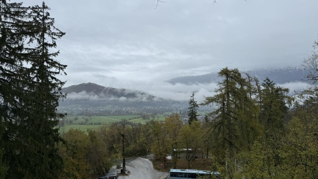 IMG 4383