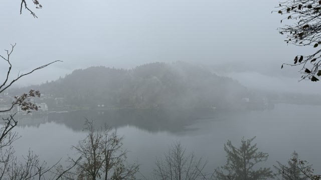 IMG 4395