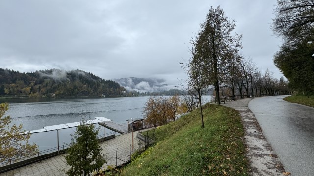 IMG 4410