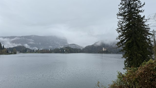 IMG 4429