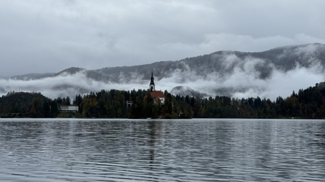 IMG 4490