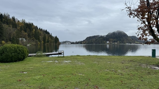 IMG 4515