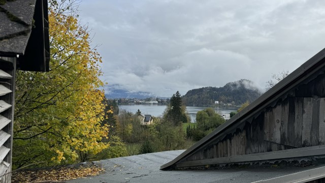 IMG 4521