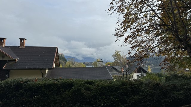 IMG 4525