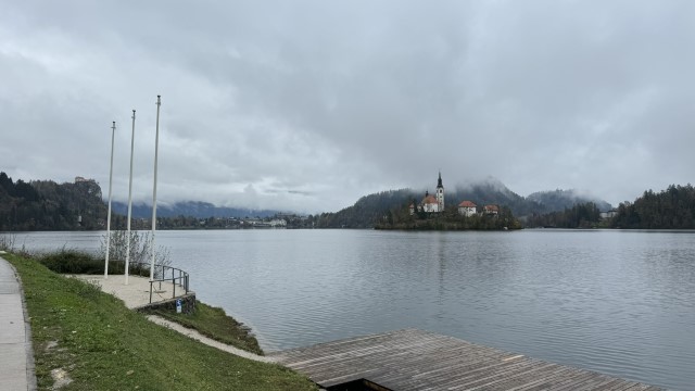 IMG 4540