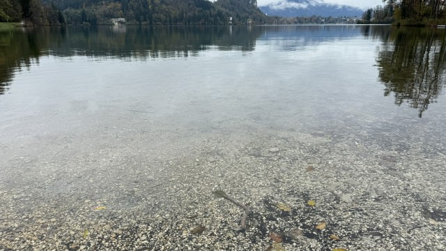 IMG 4556