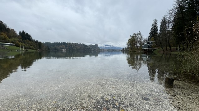 IMG 4557