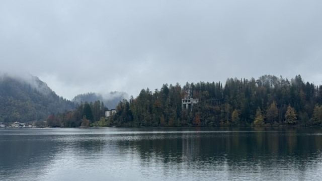 IMG 4577
